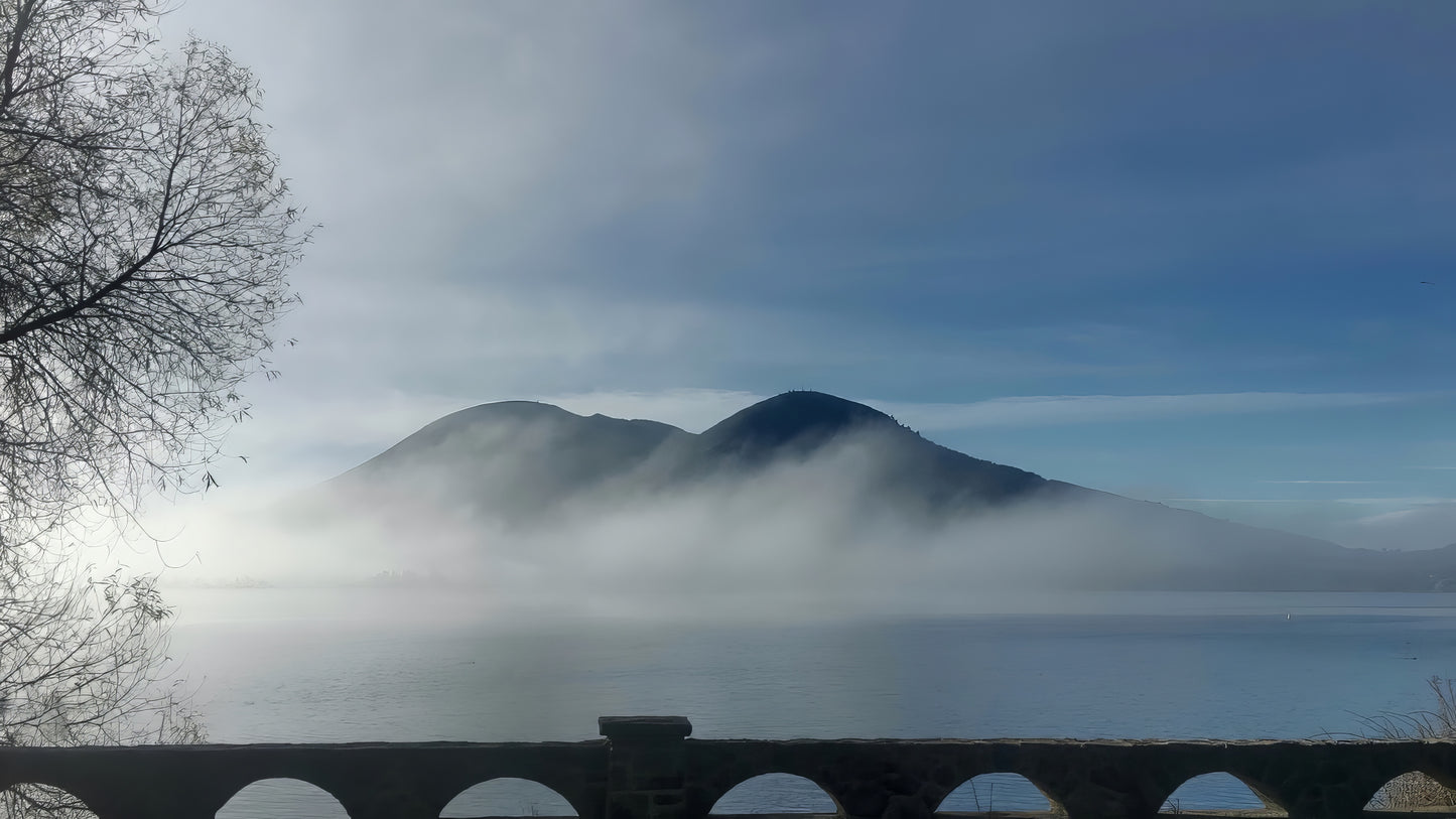 “Misty Morning…”