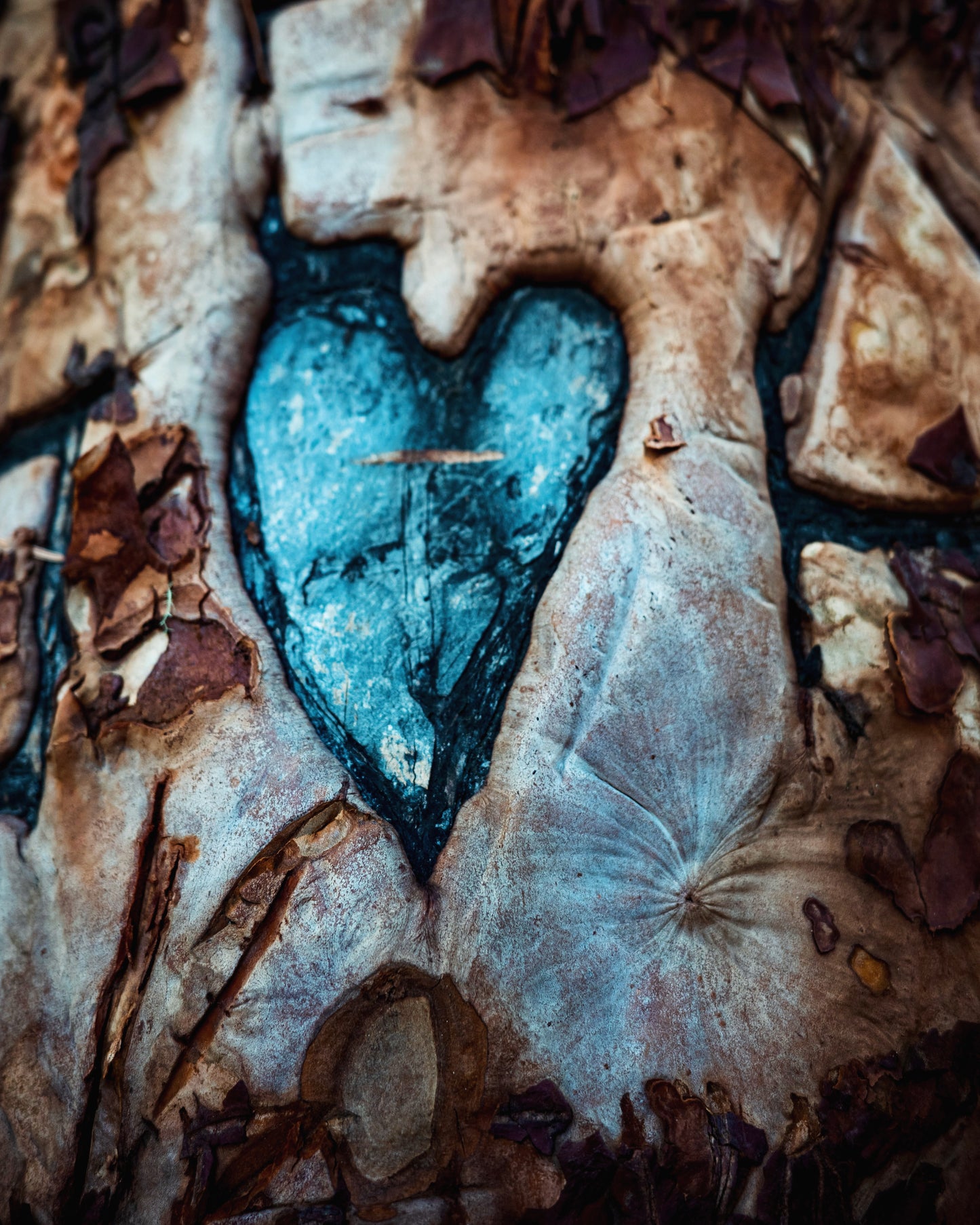 “Blue Heart…”