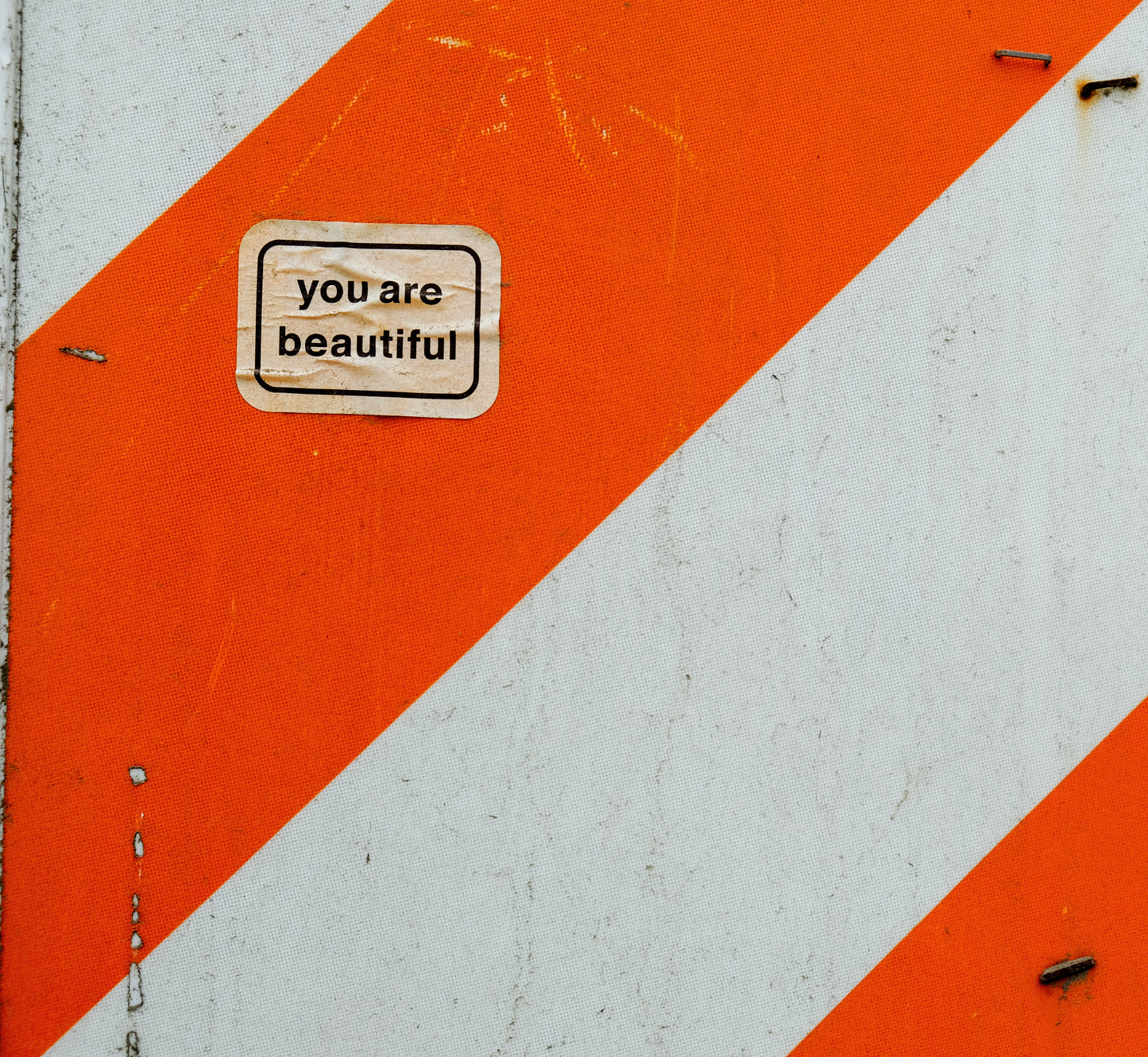 “You Are Beautiful”